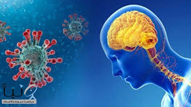 #دراسة بريطانية تحدد مخاطر فيروس #كورونا على المخ