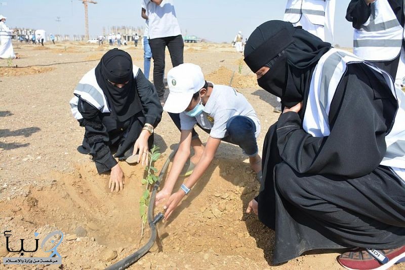 فريق "السمو الصاعد" بجازان التطوعي يشارك في حملة "لنجعلها خضراء"