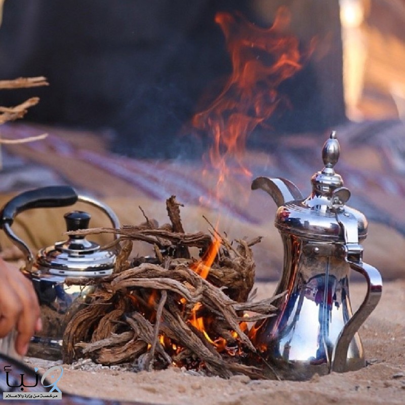 مع بدء موسم "الكشتات".. "الأمن البيئي عبر : 50 ألفاً غرامة على مخالفي "شبة النار". مع بدء موسم "الكشتات".. "الأمن البيئي عبر : 50 ألفاً غرامة على مخالفي "شبة النار".