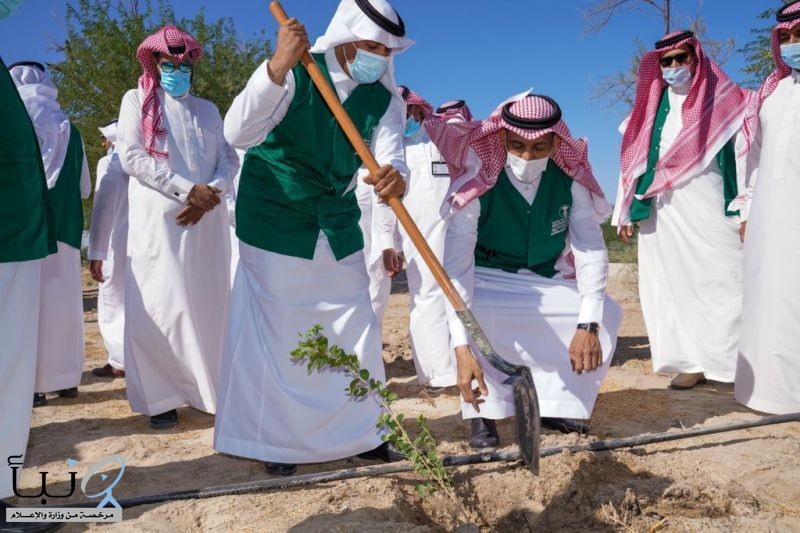 " البيئة " بالأحساء  تطلق مبادرة لنجعلها خضراء بزراعة 85 ألف شجرة