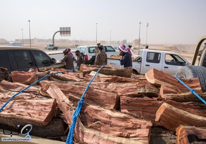 لقوات الخاصة للأمن البيئي تضبط 16 طناً من الحطب المحلي المعد للبيع في مدينة الرياض