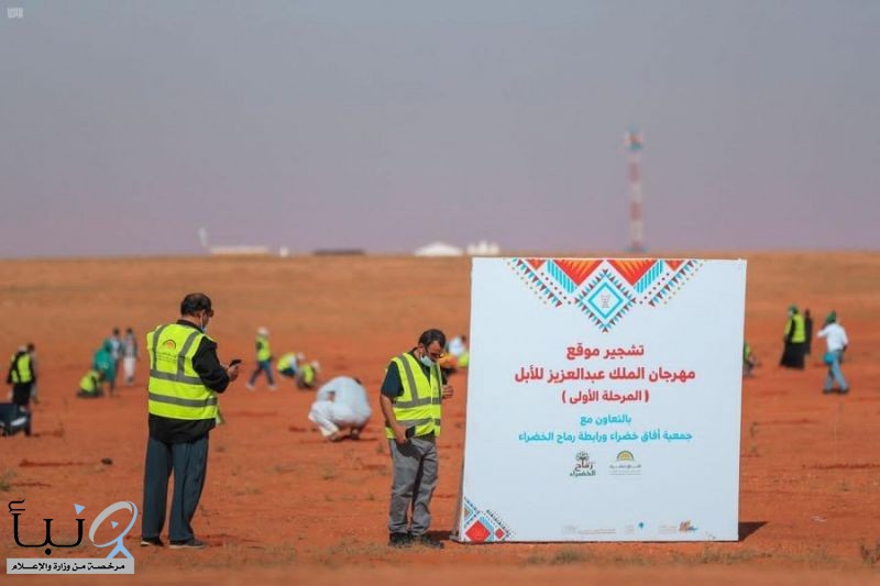 إدارة مهرجان الملك عبدالعزيز للإبل تزرع 6500 شجرة لتنمية الغطاء النباتي في الصياهد