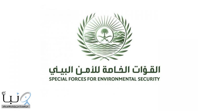 القوات الخاصة للأمن البيئي والمركز الوطني لتنمية الحياة الفطرية يحذران من مخالفة نظام البيئة ولوائحه التنفيذية