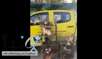أمانة الرياض تصدر بياناً صحفياً من حول فيديو جمع القطط الضالة
