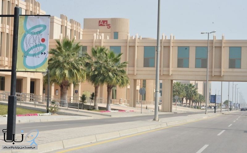 2900 مشارك "يتحدون المشي" في جامعة الإمام عبد الرحمن بن فيصل افتراضياً