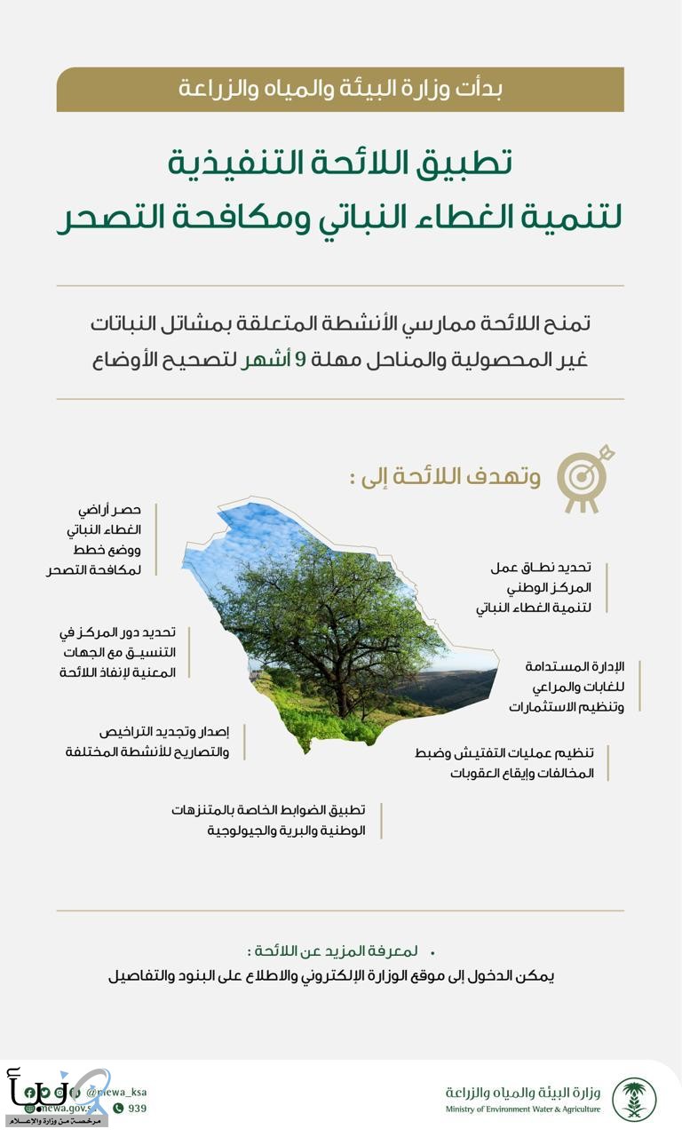 "البيئة": بدء تطبيق اللائحة التنفيذية لتنمية الغطاء النباتي ومكافحة التصحر ومهلة 9 أشهر لتصحيح الأوضاع