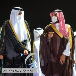 بالصور.. ولي العهد الأمير محمد بن سلمان يستقبل أمير دولة قطر #عاجل