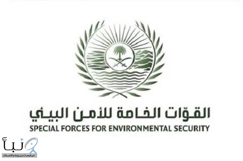 القوات الخاصة للأمن البيئي توقف (17) مخالفًا لنظام البيئة لارتكابهم مخالفات رعي