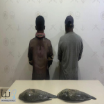 ضبط مقيمين من الجنسية البنجلاديشية لممارستهما الصيد دون تصريح