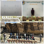 #حرس_الحدود يحبط تهريب 850 كجم من القات والحشيش المخدر