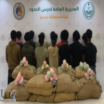 #عاجل | القبض على (14) مخالفًا لتهريبهم (252) كيلوجرامًا من نبات القات المخدر بمنطقة #عسير