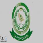 القبض على 3 أشخاص لتهريبهم (160) كيلوجرامًا من نبات القات المخدر #عاجل