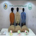 القبض على (3) مخالفين لأمن الحدود من الجنسية الإثيوبية لتهريبهم (75) كجم من القات #عاجل