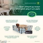 "البيئة" تُعلن ضوابط بيع المواشي الحية بالوزن وتبدأ تطبيق القرار الخميس المقبل في أسواق النفع العام