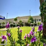 نجاح جراحة نادرة لطفل يعاني من التحام كاذب بالساق