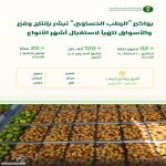 بواكير "الرطب الحساوي" تبشر بإنتاج وفير والأسواق تتهيأ لاستقبال أشهر أنواعه من الخلاص والشيشي والغر
