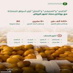 بأكثر من 8 ملايين نخلة و80 صنفًا.. الرياض تُعزّز إنتاج المملكة من التمور والأسواق تستقبل بواكيرها