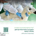 "البيئة" تعلن عن طرح مشروع تحديث دليل المهن والمنشآت البيطرية عبر منصة "استطلاع" لأخذ مرئيات المختصين
