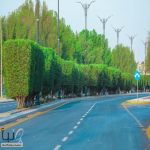 بأكثر من 93 ألف م² تطويرًا.. بقيق تُسرّع وتيرة البنية التحتية وتحسين جودة الحياة في 2025