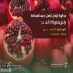 الرمان المحلّي يغمر أسواق المملكة بإنتاج يتجاوز (37) ألف طن