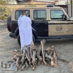 ضبط (73) حالة اشتباه بالتستر خلال (1,519) زيارة تفتيشية لمكافحة التستر التجاري