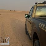 ضبط مواطنًا لارتكابه مخالفة رعي (8) متون من الإبل في مواقع محظور الرعي فيها