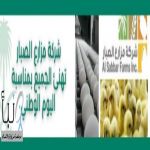 شركة مزارع #الصبار تقدم خصم خاص بمناسبة اليوم الوطني