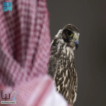 بيع 4 صقور بـ (652) ألف ريال في معرض الصقور والصيد السعودي الدولي 2025