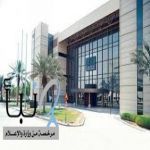 دراسة سعودية أسترالية تبتكر استراتيجية لمكافحة البعوض الناقل لحمى الضنك