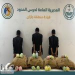 القبض على (3) مخالفين من الجنسية اليمنية لمحاولتهم تهريب (80) كجم من القات المخدر #عاجل القبض على (3) مخالفين من الجنسية اليمنية لمحاولتهم تهريب (80) كجم من القات المخدر #عاجل