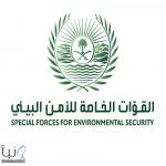 الأمن البيئي يضبط مخالفين لارتكابهم مخالفات رعي وإشعال نار ونقل حطب محلي وصيد محظور