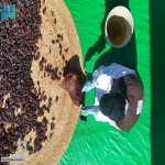 فعالية “يوم الشنّة” تختتم موسم سوق المزارعين في العُلا وتُبرز أصالة الموروث الزراعي