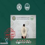 القبض على مواطن لترويجه الحشيش والإمفيتامين وأقراصًا خاضعة لتنظيم التداول