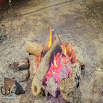 الأمن البيئي يضبط مواطنًا مخالفًا أشعل النار في غير الأماكن المخصصة لها في المدينة المنورة