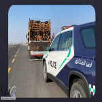 ضبط مواطناً مخالفاً لنظام البيئة بحوزته حطب محلي معروض للبيع بالمدينة المنورة