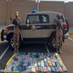 “دوريات المجاهدين” تحبط تهريب 79 كيلوجرامًا من الحشيش المخدر | #عاجل