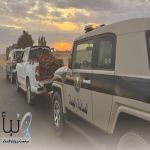 “دوريات المجاهدين” بحائل تضبط مواطناً مخالفاً لنظام البيئة بحوزته حطب محلي