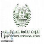 من الجنسية اليمنية .. ضبط مخالفاً لنظام البيئة نقل حطبًا محليًا في الرياض