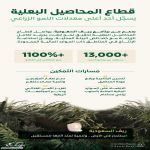 "ريف السعودية": نمو قياسي لقطاع المحاصيل البعلية بـأكثر من %1100 وعدد المستفيدين يتجاوز 13 ألف مستفيد