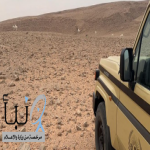 “الأمن البيئي” يضبط مواطناً مخالفاً لرعي الإبل في محمية الملك عبدالعزيز الملكية