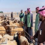 جولة تفقدية لمدير عام فرع وزارة البيئة بالحدود الشمالية على الأسواق والمسالخ قبل شهر رمضان المبارك