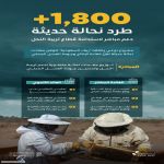 "ريف السعودية" يوزّع 1800 طردًا من معدات النحالة الحديثة على النحالين السعوديين لرفع كفاءة القطاع واستدامته