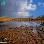 هطول أمطار على منطقة الباحة