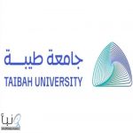 جامعة طيبة تطلق مبادرة “المحراب” لخدمة زوار المسجد النبوي خلال شهر رمضان