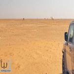 “الأمن البيئي” يضبط مواطنًا لارتكابه مخالفة رعي  ‏‎