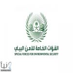 “الأمن البيئي” يضبط مواطنًا مخالفًا لنظام البيئة قام بإشعال النار في غير الأماكن المخصصة لها