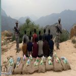 القبض على (19) مخالفًا من الجنسية الإثيوبية لتهريبهم (395) كجم من القات المخدر #عاجل