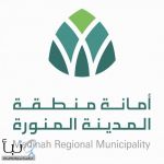 5700 كادر ينفّذون الخطة التشغيلية لأمانة المدينة المنورة خلال العشر الأواخر