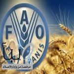 منظمة "الفاو" توسع مساعداتها النقدية في غزة لدعم إنتاج الخضروات