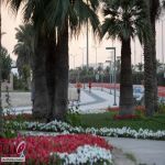 ضمن مشروع “بهجة” :أمانة الأحساء تُنجز 22 مشروعًا لـ (الحدائق والتدخلات الحضرية )